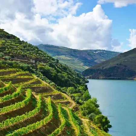 Quinta Do Lodao * Espadanedo (Macedo de Cavaleiros)